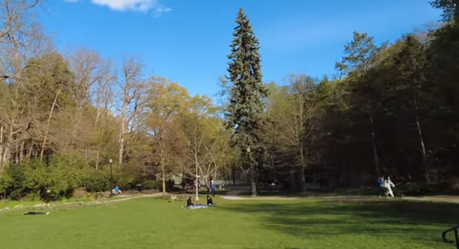 Alexander Muir Memorial Gardens