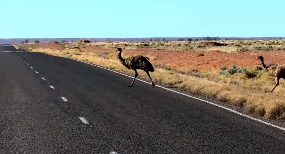 Broken Hill City