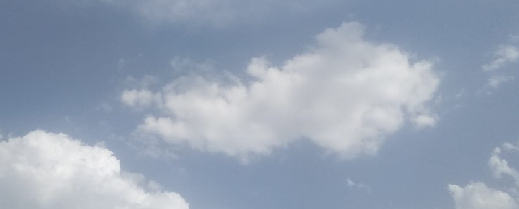 Go Wine Tasting in Margaret River, Australia