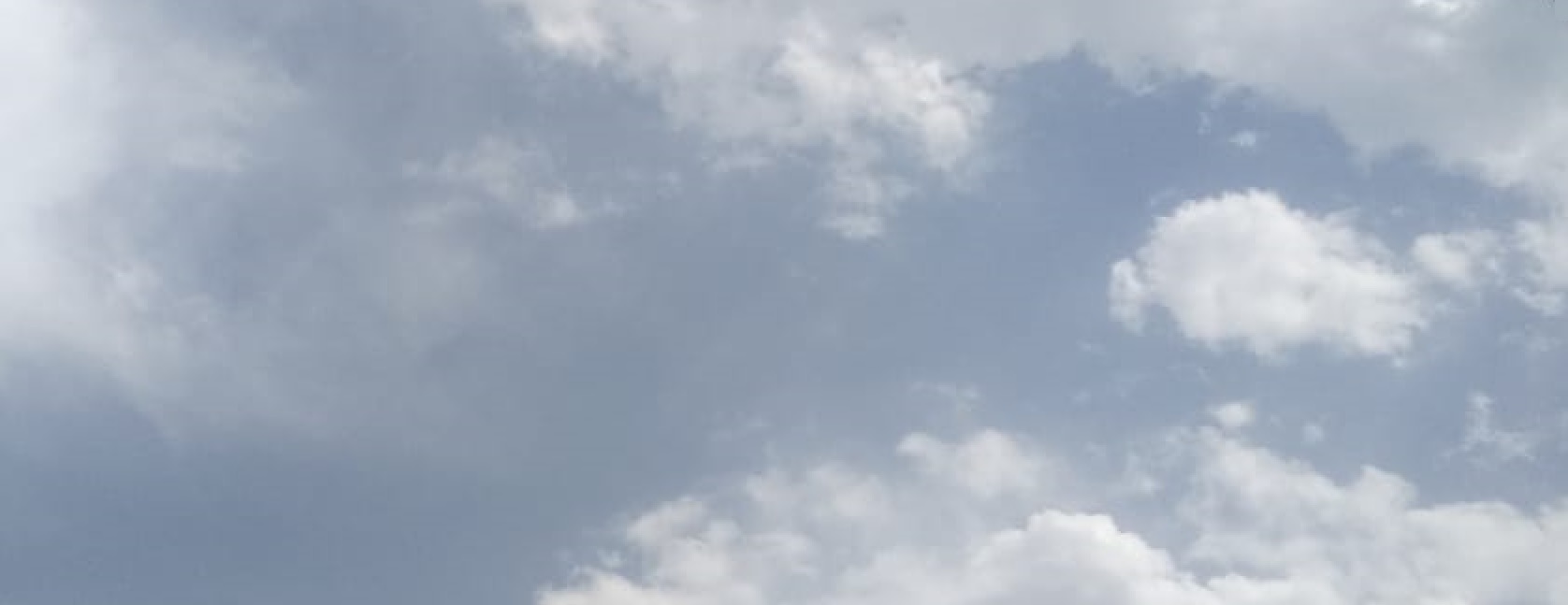 Lone Pine Koala Sanctuary Brisbane Tour, Australia