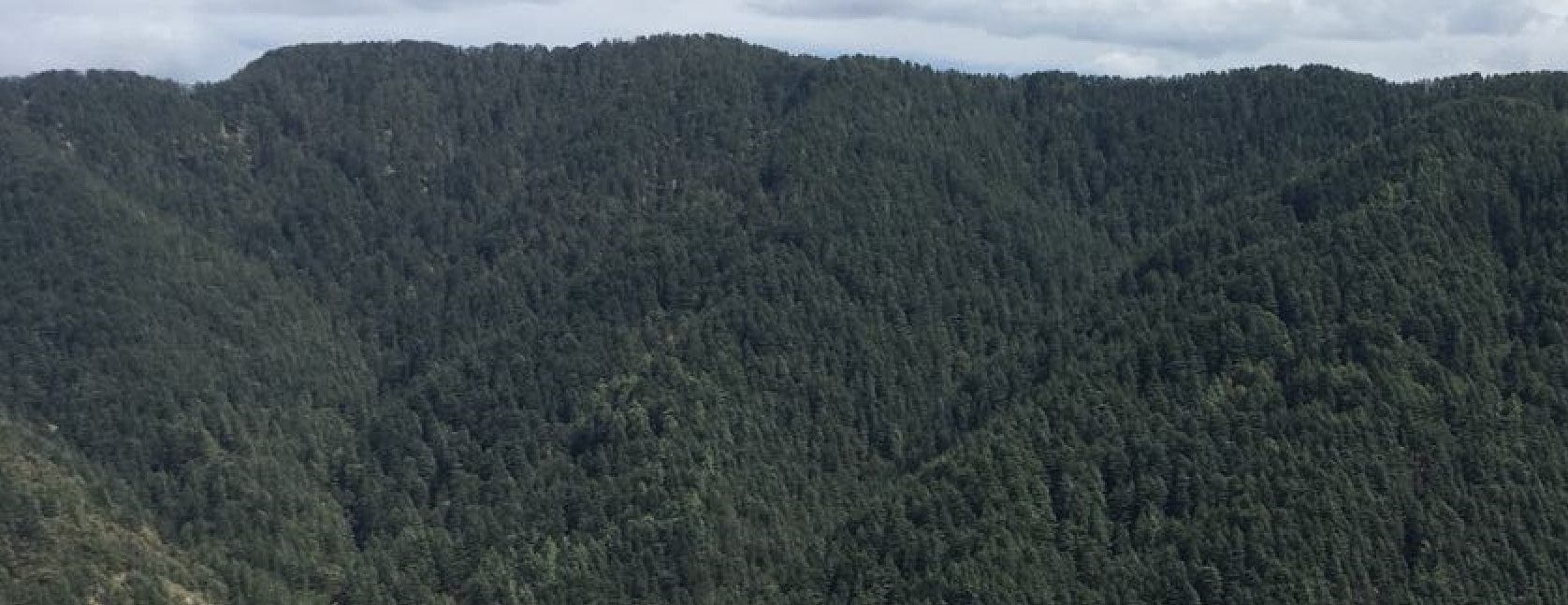 Blue Mountains Climbing, Australia